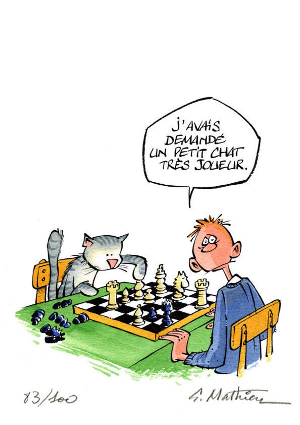 Chat joueur