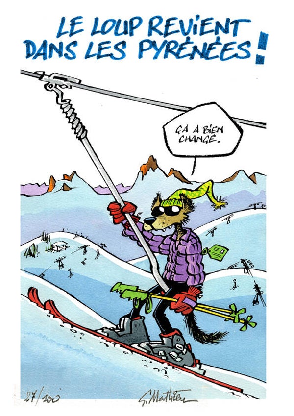 Loup des Pyrénées