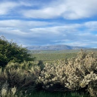 img_3593.jpeg