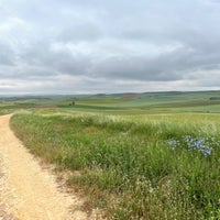 b2220547-9a58-4b69-901e-ca9faac7f789.jpeg