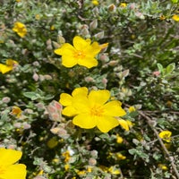 ca182eac-97ac-42ae-b613-bf7ad63c6681.jpeg
