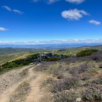 img_2555.jpeg