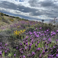img_2539-1.jpeg