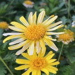 IMG_0473.jpg