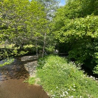 img_3668.jpeg