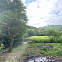 img_3664.jpeg