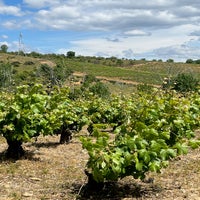 img_2575.jpeg