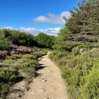 img_3604.jpeg