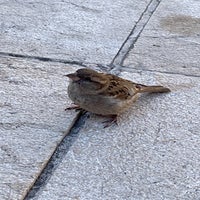 c8458441-8075-4c73-a9ef-02419c11191b.jpeg