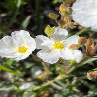 img_3613.jpeg