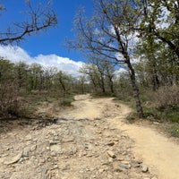 img_3577-2.jpeg