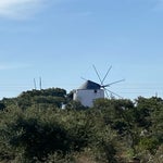 IMG_0486.jpg