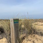 IMG_0607.jpg