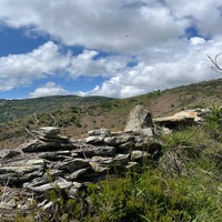 img_2602.jpeg