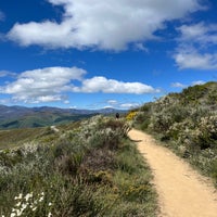 img_2552.jpeg