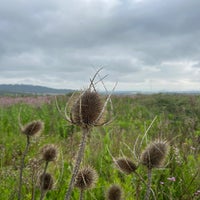 d473ee8d-bea7-4c31-9205-e795e355fa3e.jpeg