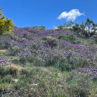 img_2556.jpeg