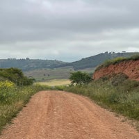 d03489cc-851b-4c5d-a78f-d072d526c0f2.jpeg