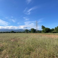 img_3636.jpeg