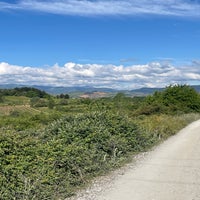 img_3638.jpeg