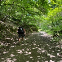 img_2590.jpeg