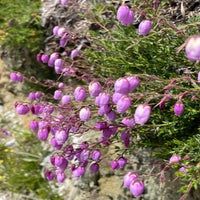 img_3679.jpeg