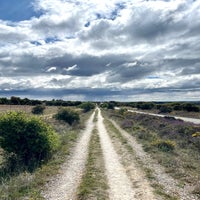 img_3573-1.jpeg