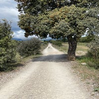 img_3574-1.jpeg