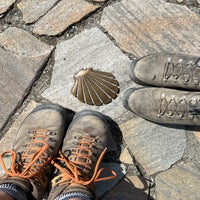 img_2574.jpeg