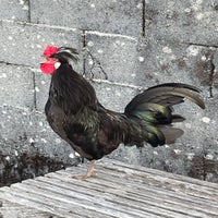 img_3692.jpeg