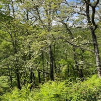 img_3671.jpeg