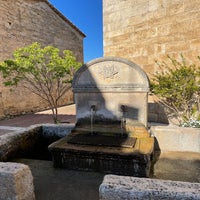 14224192-f293-42bf-92f1-a728dc2d7ccf.jpeg