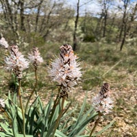 img_2541-1.jpeg