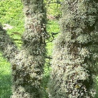 img_3672.jpeg