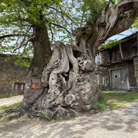 img_3700.jpeg