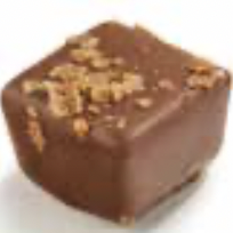 Halliday - praline met feuillantine (MSNGl)