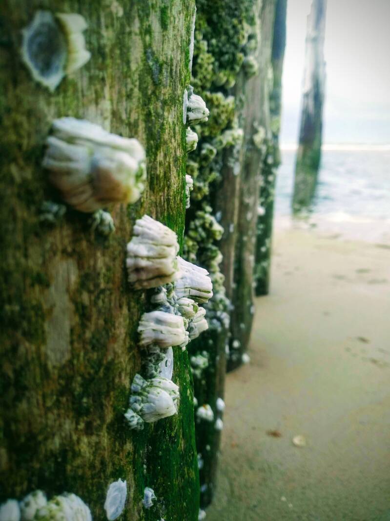 systemisch kijken is inzoomen en uitzoomen