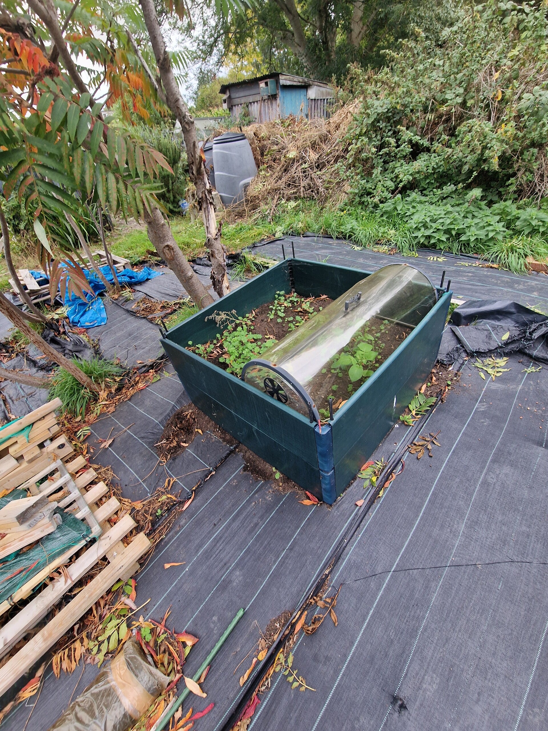 1000009882-standard-risfo5.jpg