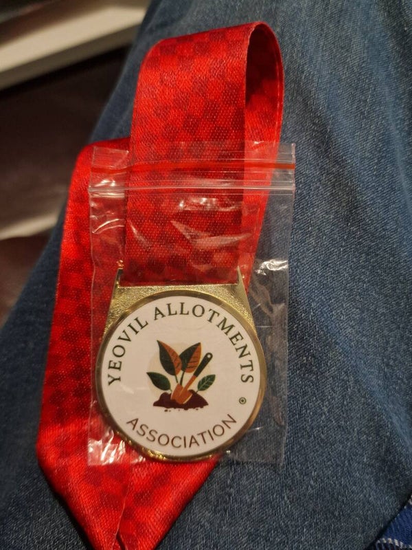 Medal
