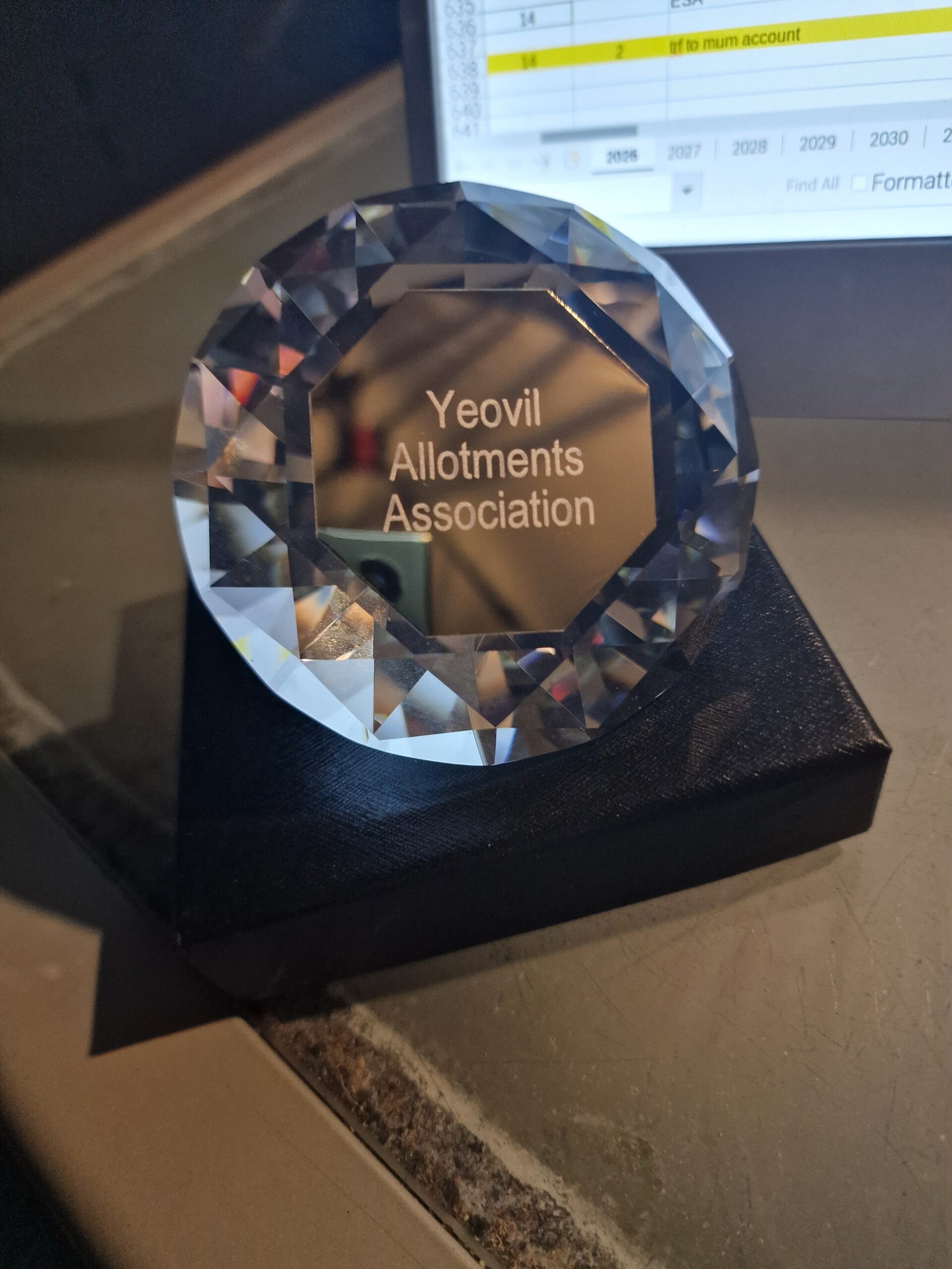 Crystal Paperweight