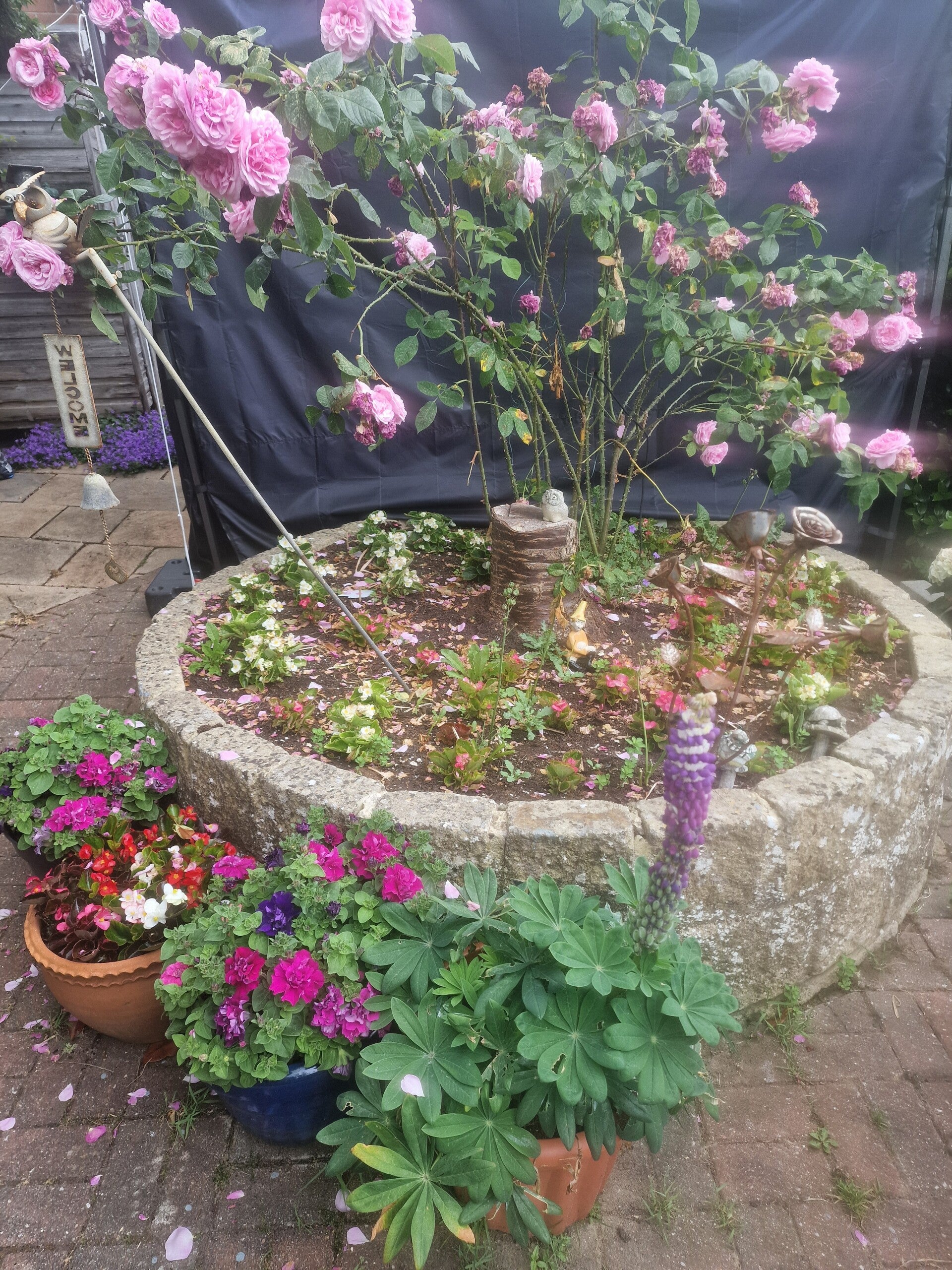 garden-2-standard.jpg