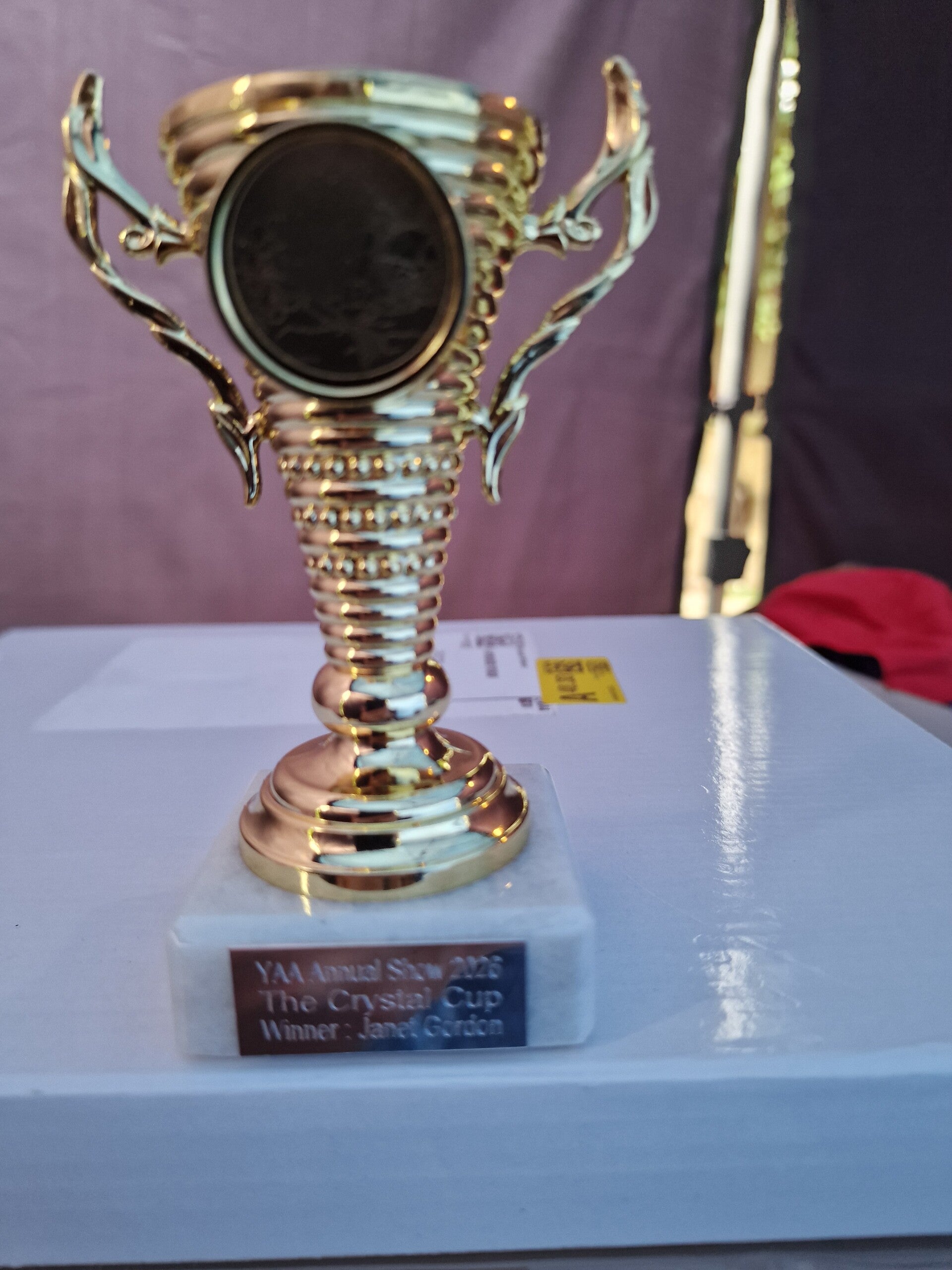 janet-gordon_-trophy-the-crystal-cup-standard.jpg
