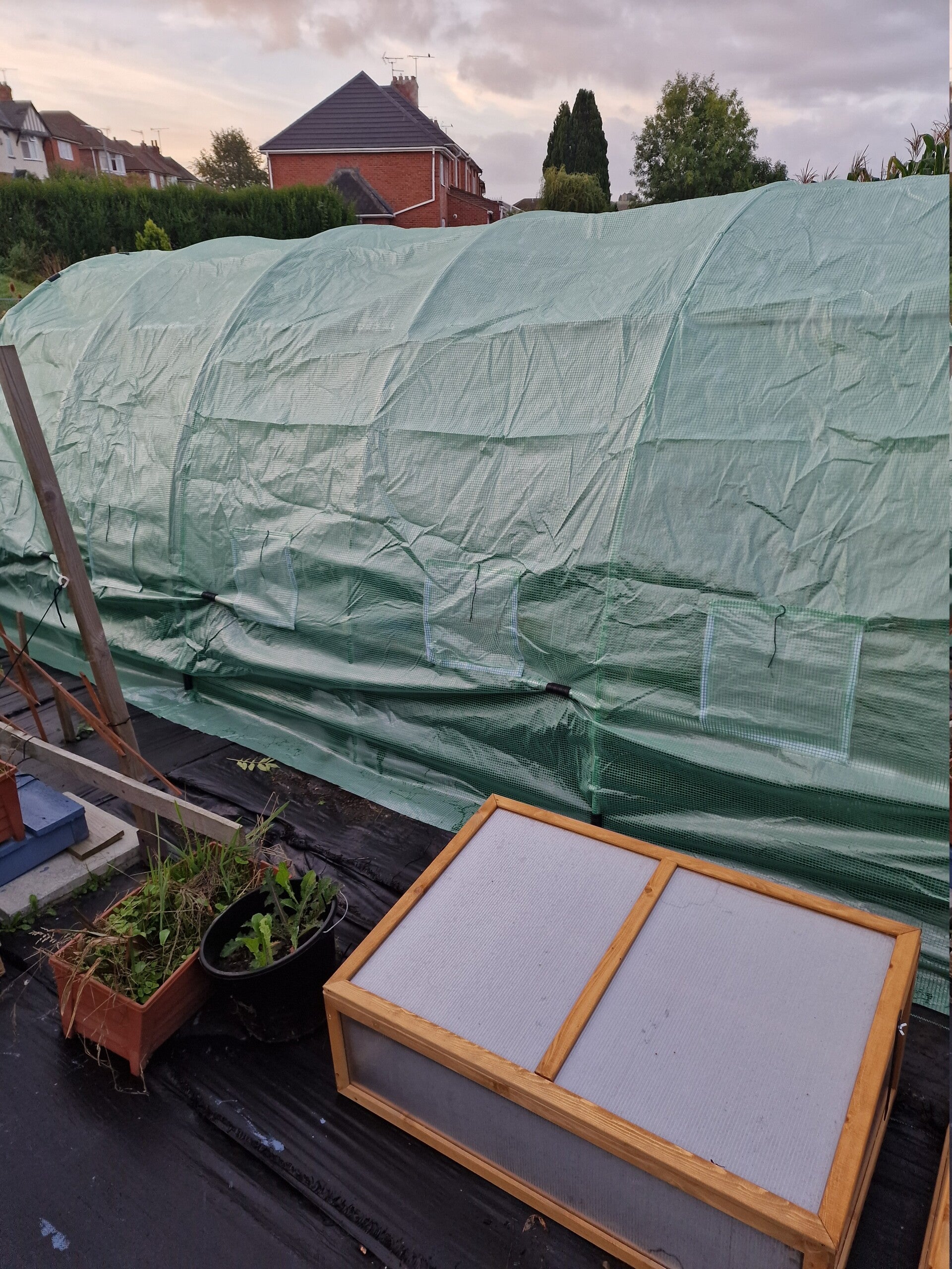 new-canopy-1-standard.jpg