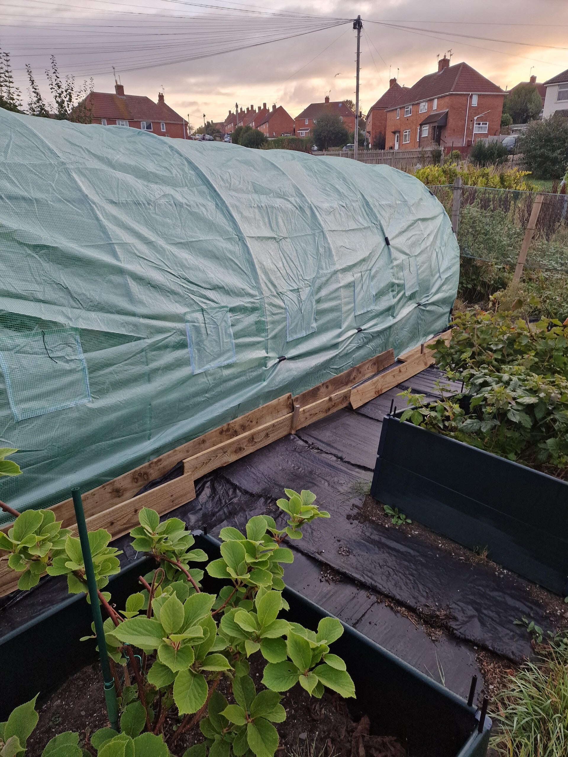 new-canopy-3-standard.jpg