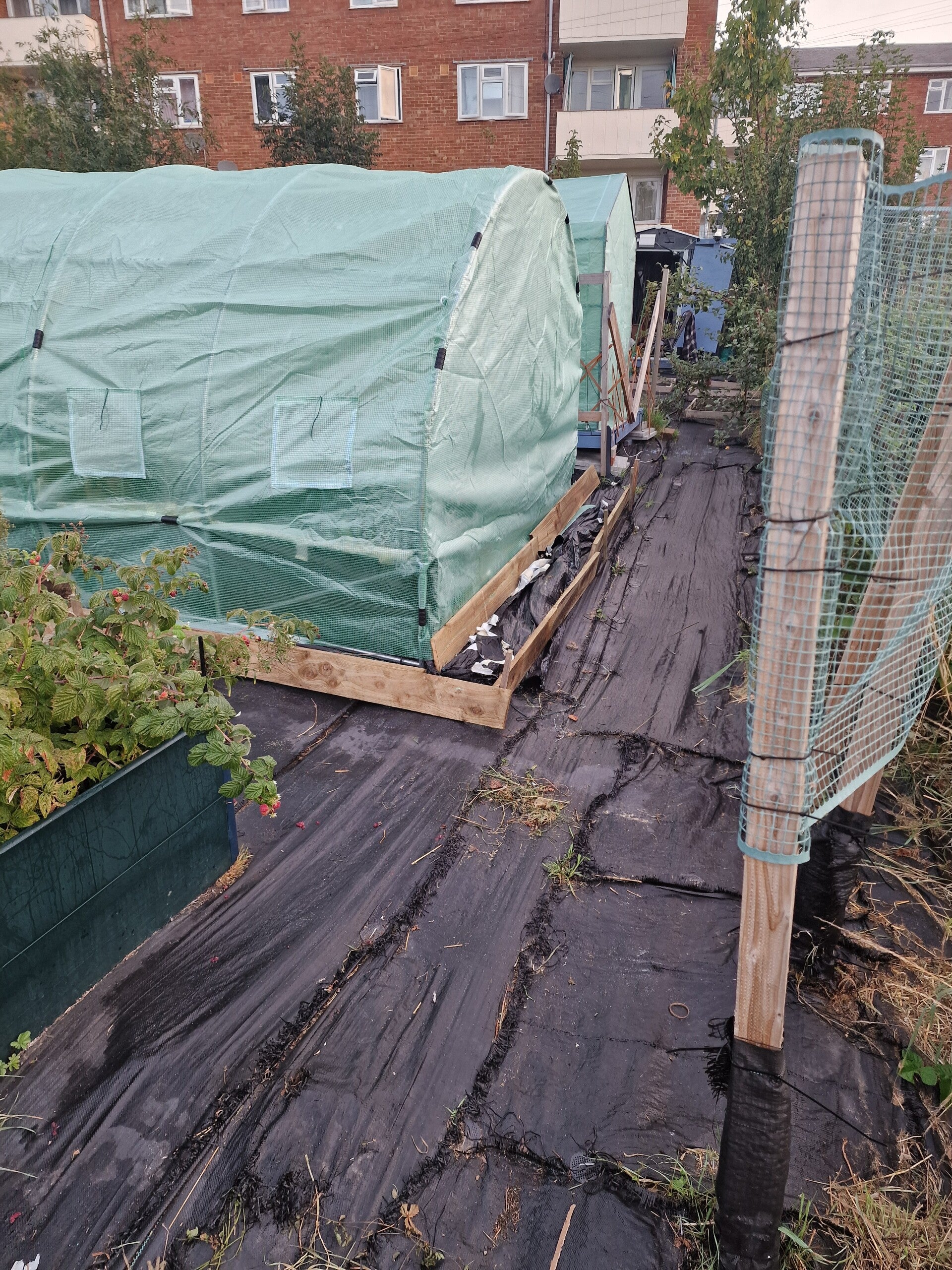 new-canopy-4-standard.jpg
