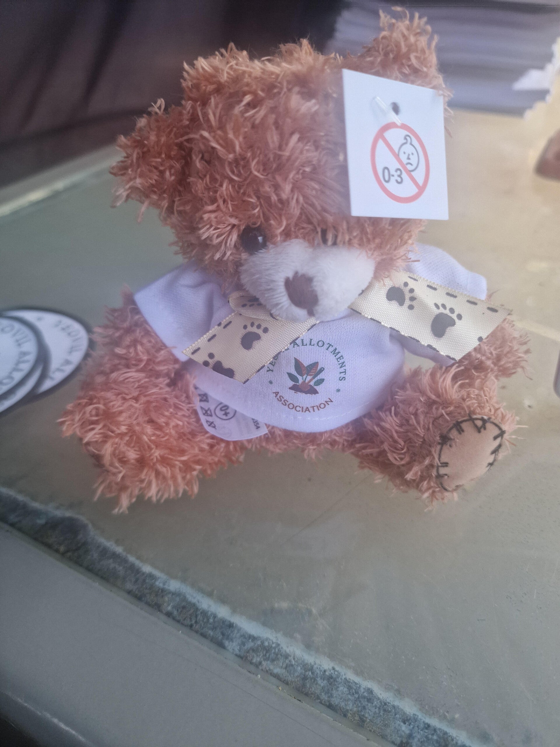patch-paw-bear-standard.jpg
