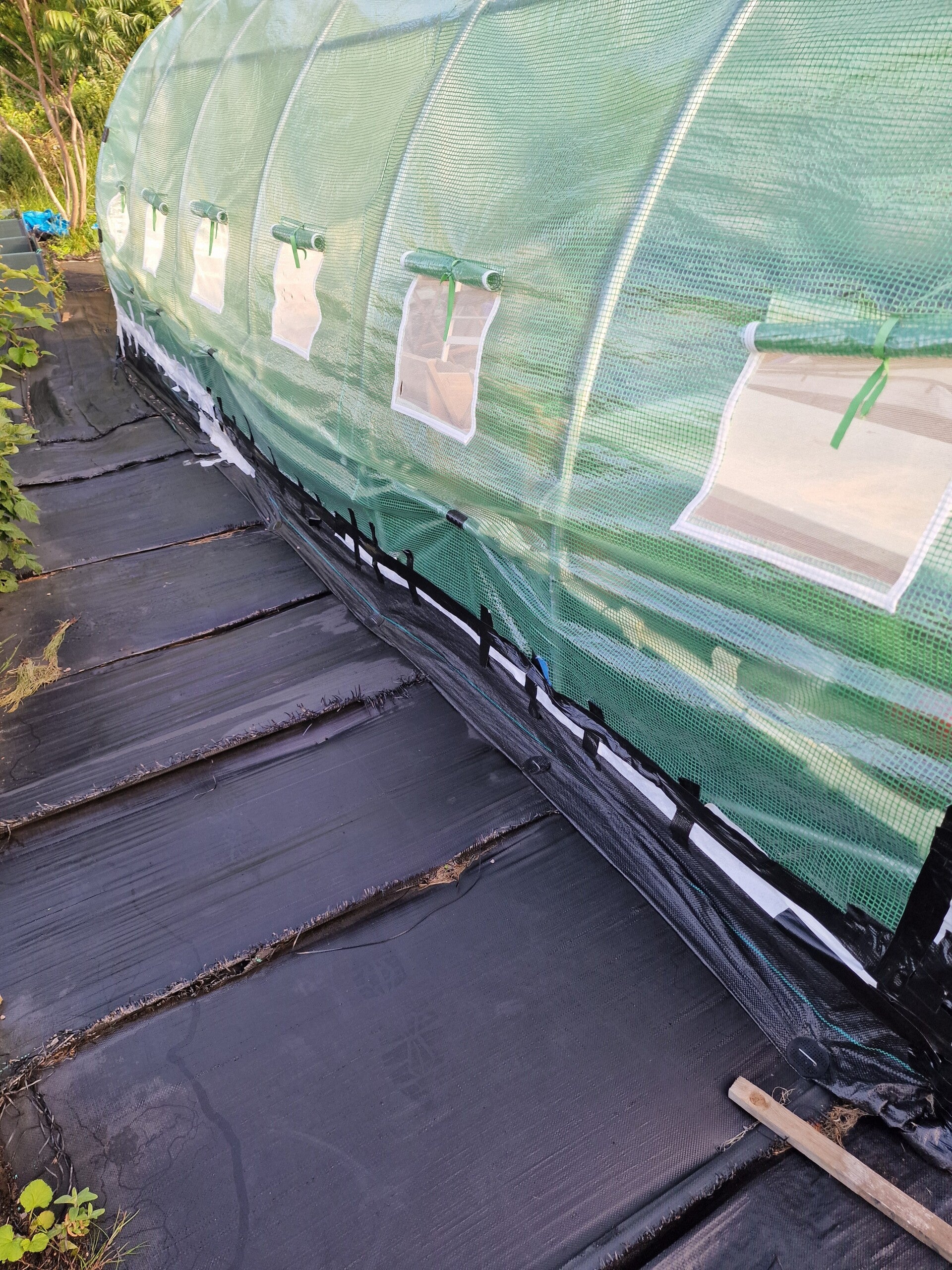 recent-poly-tunnel-4-standard.jpg
