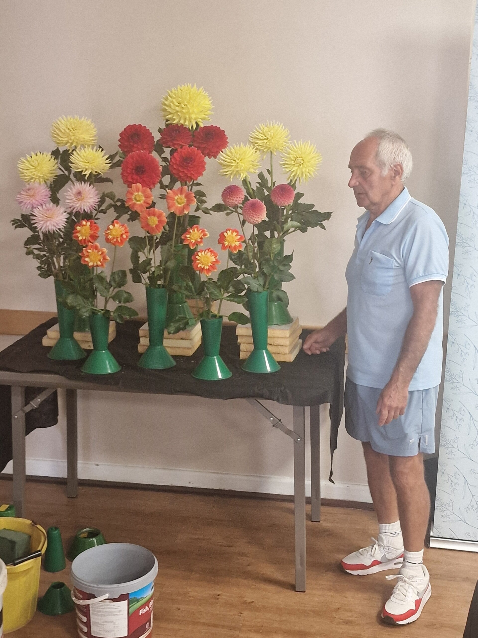 rogers-dahlia-display-2026-standard-z3x59x.jpg