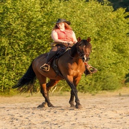 dsc03110-standard.jpg