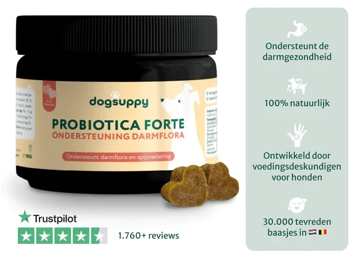 Dogsuppy chewies Probiotica Forte